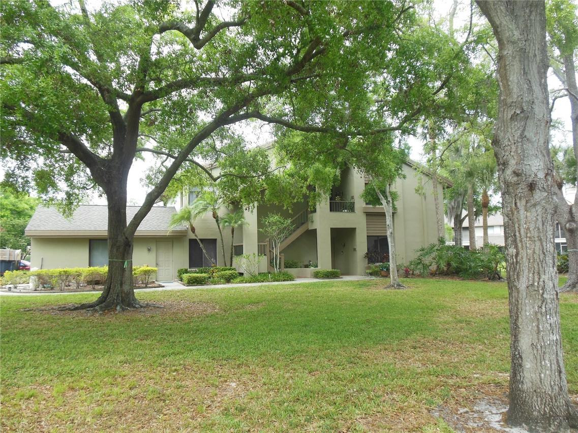 3053 Landmark Blvd. #1107`, Palm Harbor, FL 34684