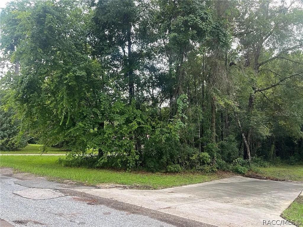 178 S School Ave., Lecanto, FL 34461