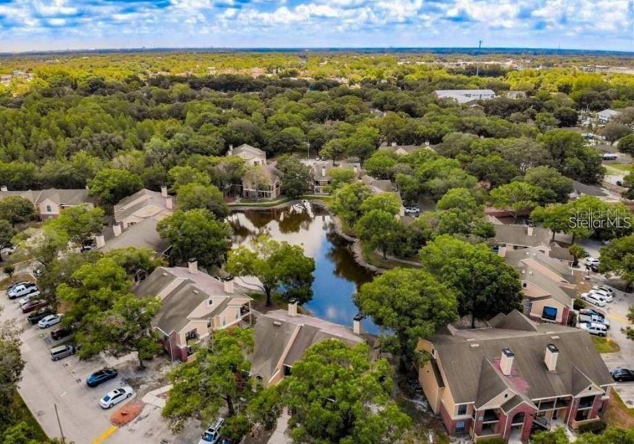 8641 Fancy Finch Dr. #202, Tampa, FL 33614