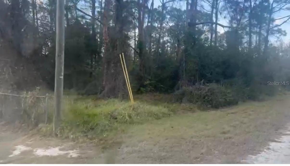 311 Wilson Ln., Lake Placid, FL 33852