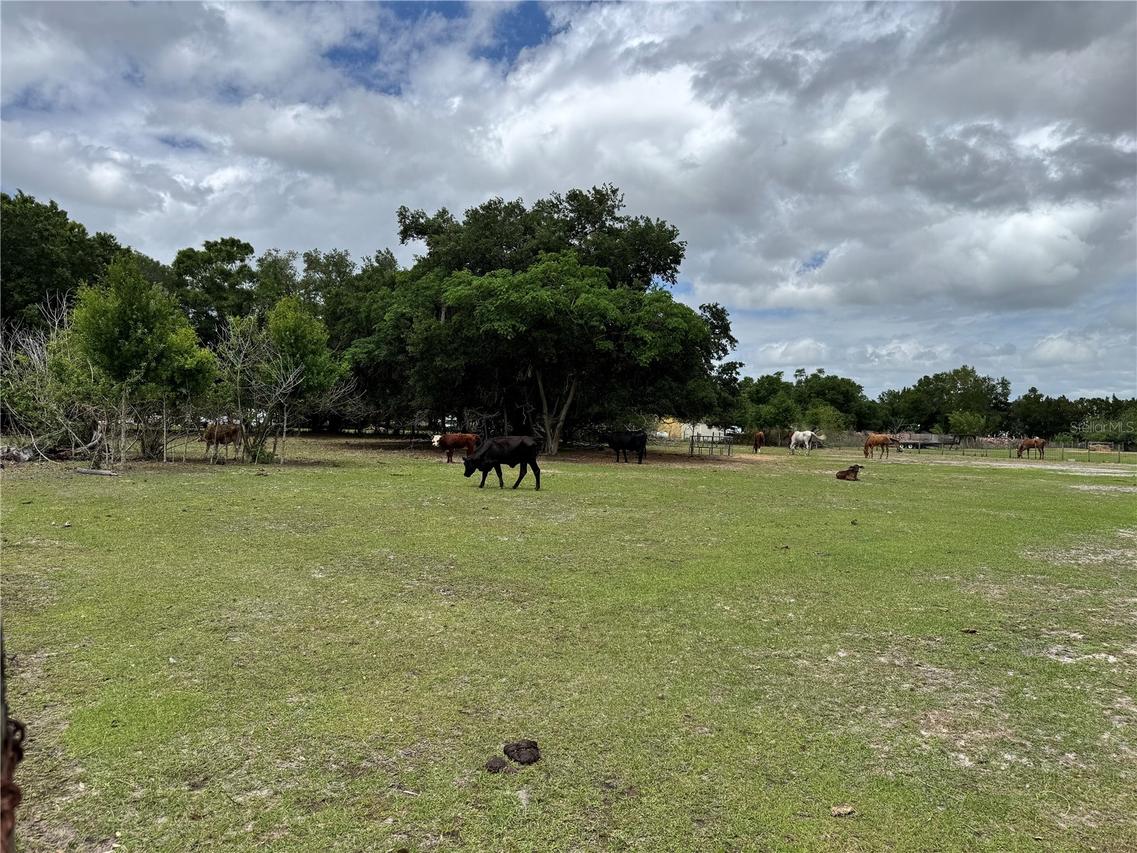 1804 Zipperer Rd., Bradenton, FL 34212