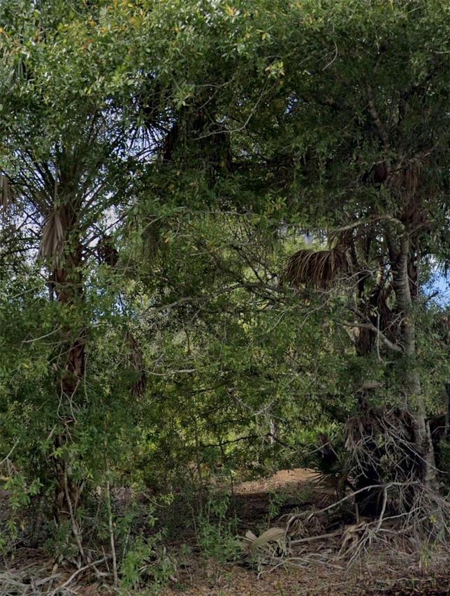 3439 Tiffiny St., Punta Gorda, FL 33980