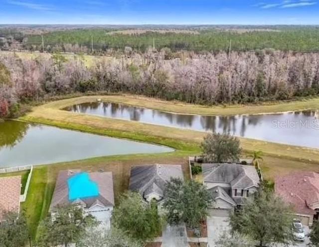 10918 Ancient Futures Dr., Tampa, FL 33647