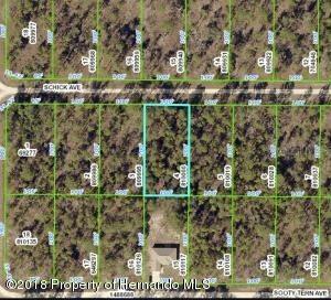 13352 Schick Ave., Brooksville, FL 34614