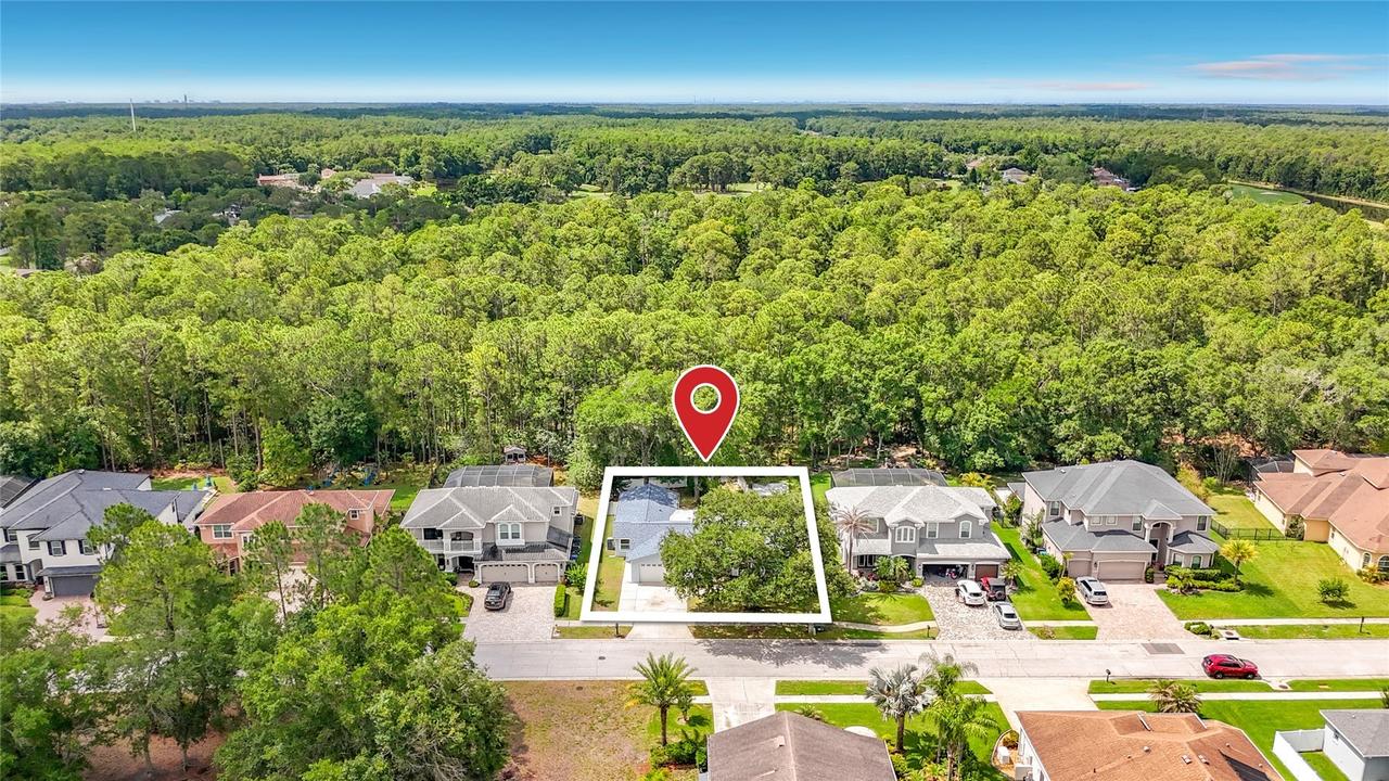 12912 Starling Dr., Odessa, FL 33556