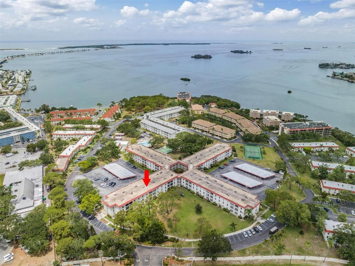 2700 Bayshore Blvd. #1308, Dunedin, FL 34698