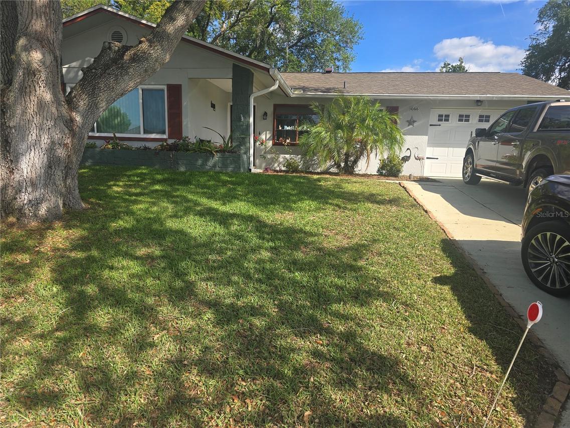 10616 Springwood Dr., Port Richey, FL 34668