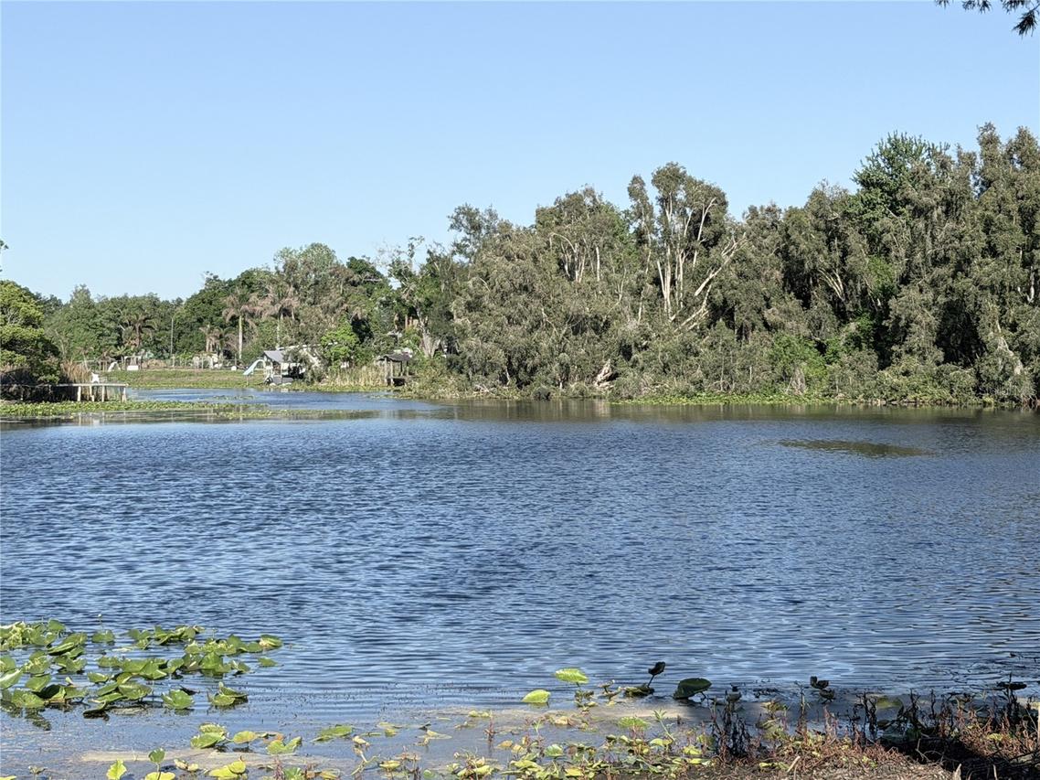 11505 N Rome Ave., Tampa, FL 33612
