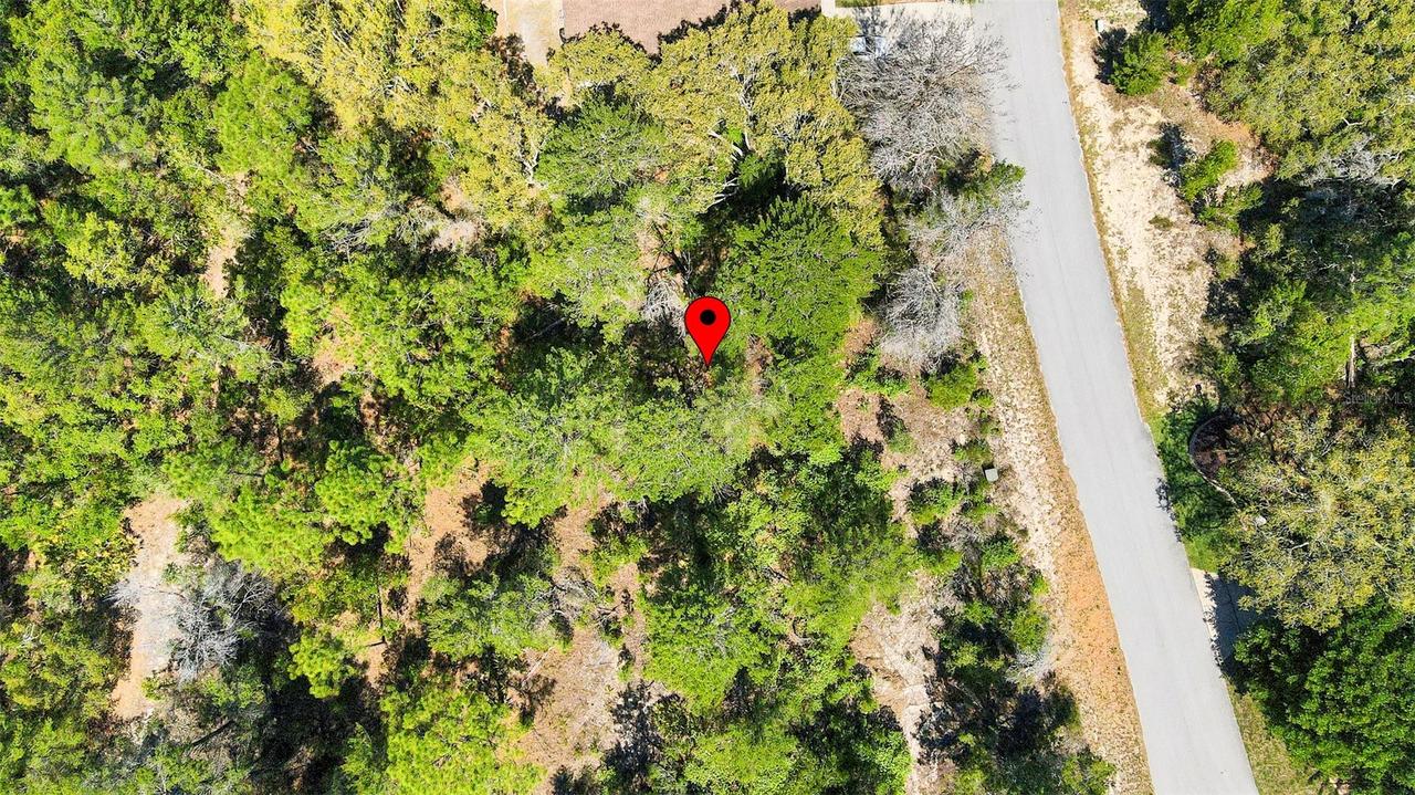 14 Heuchera Ct., Homosassa, FL 34446
