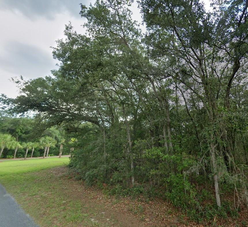 1449 E Wedgewood Ln., Hernando, FL 34442