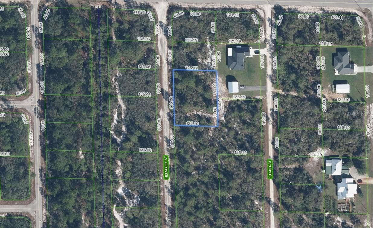 1059 Helmsley St., Lake Placid, FL 33852