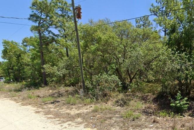 5276 W Winter Sun Ln., Homosassa, FL 34446