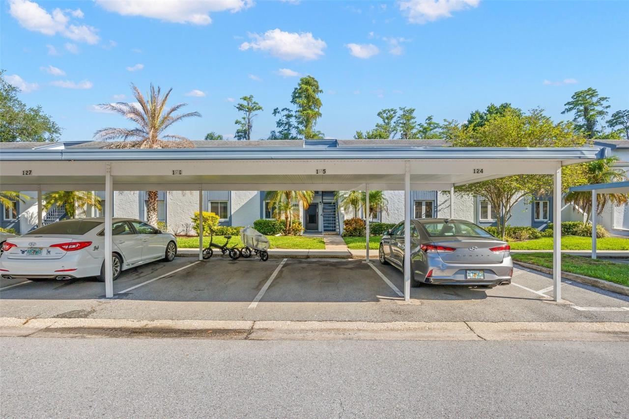 125 Cypress Ln., Oldsmar, FL 34677