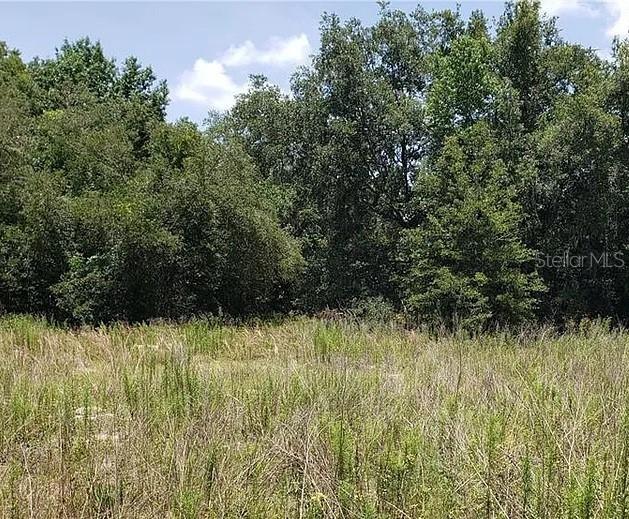 2412 Van Buren St., Inverness, FL 34453