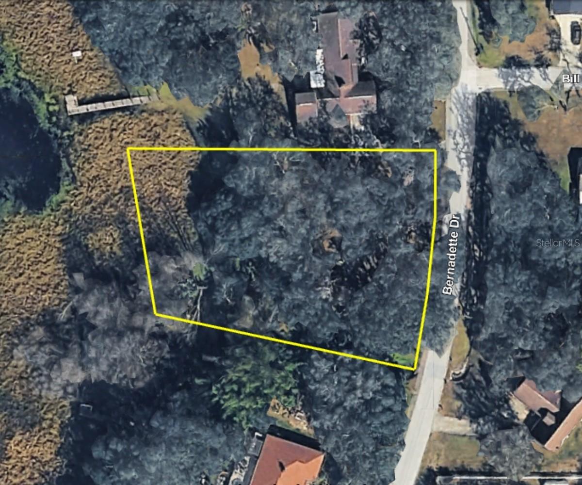 5355 Bernadette Dr, Zephyrhills, FL 33541