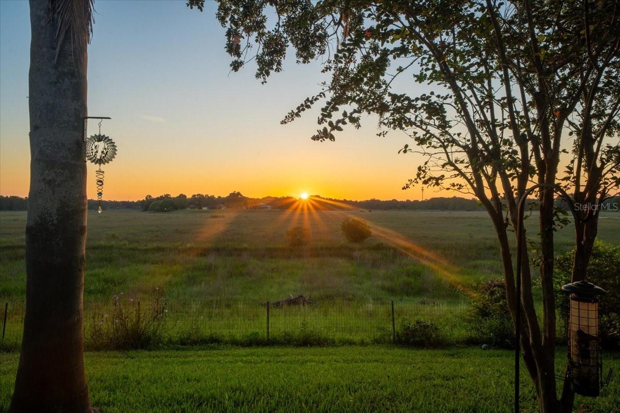 1472 Ivydale Rd., Spring Hill, FL 34606