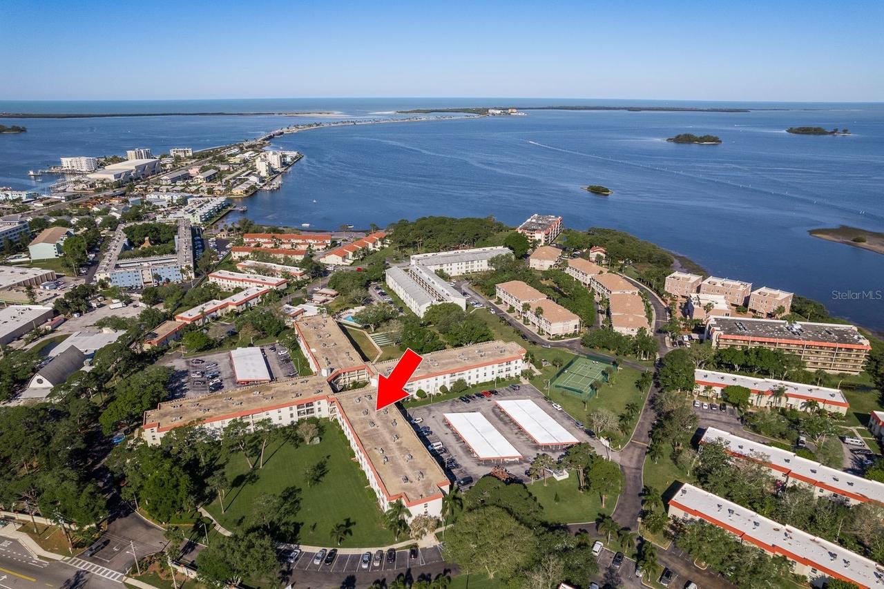 2700 Bayshore Blvd. #3201, Dunedin, FL 34698