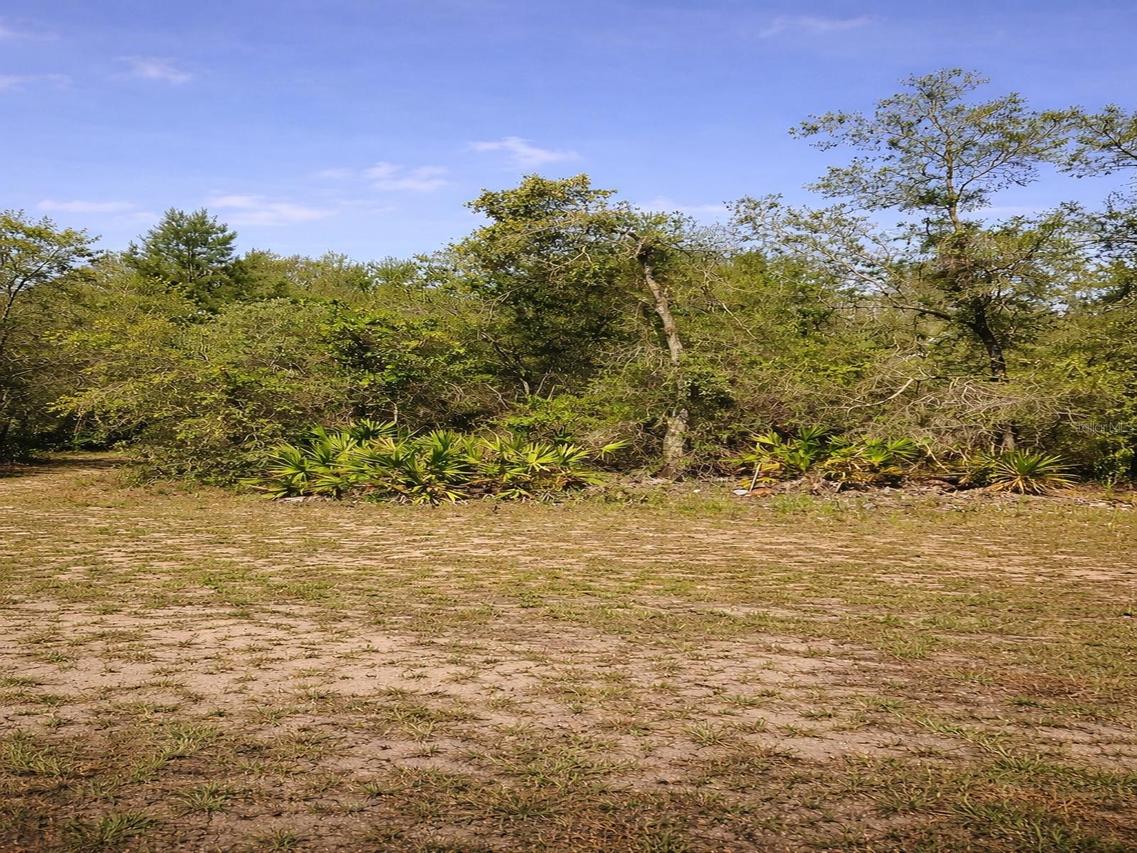 Shetland Dr., Lake Wales, FL 33898