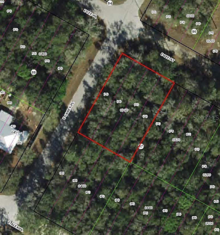 3576 E Lee Dr., Inverness, FL 34453