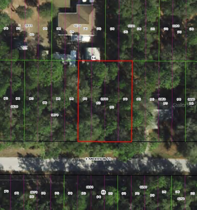 3301 E Anderson St., Inverness, FL 34453