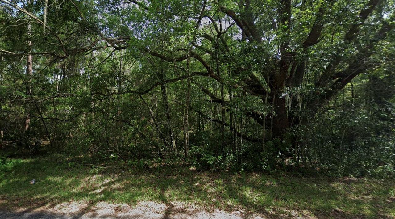 3958 E Ryan St., Inverness, FL 34453