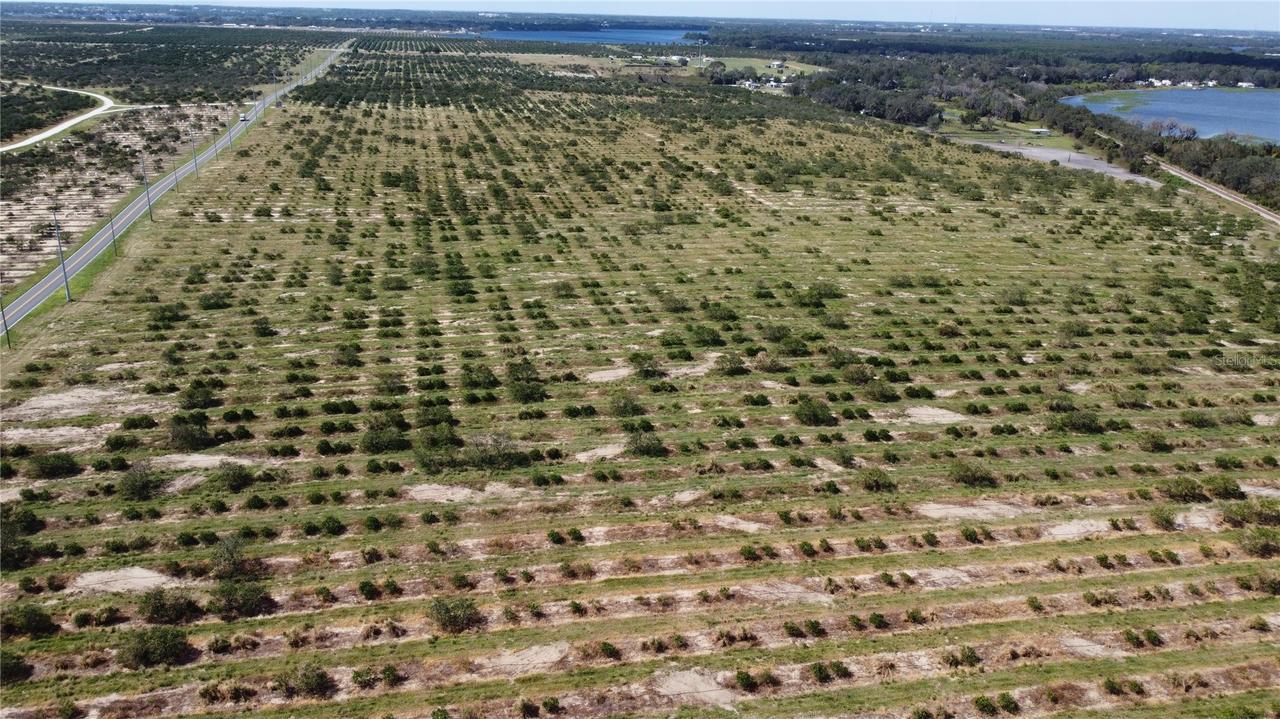 3162 Power Line Rd., Avon Park, FL 33825