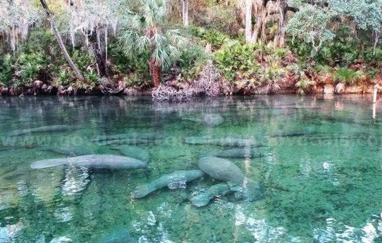 1 Werley Tr., Deland, FL 32720