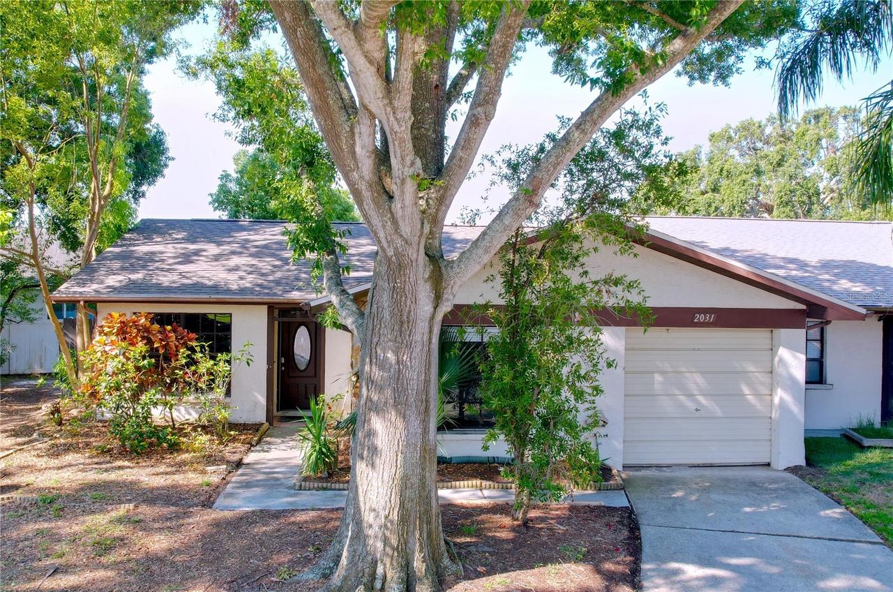 2031 Dover Ct., Oldsmar, FL 34677