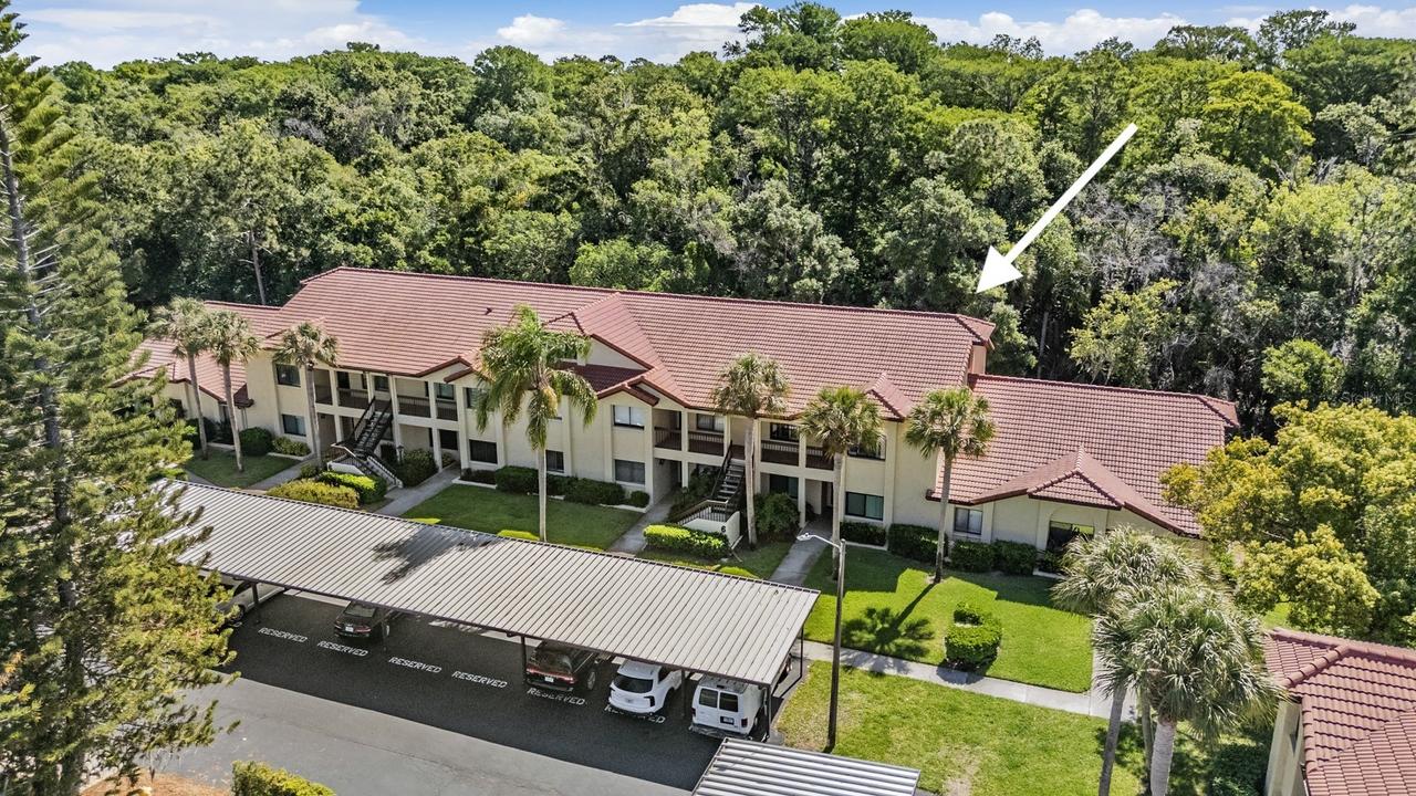 1801 E Lake Rd. #6J, Palm Harbor, FL 34685