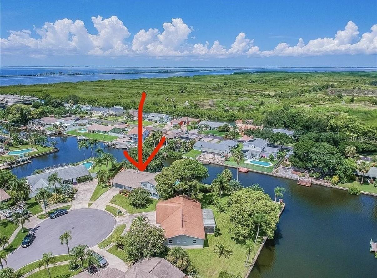 8728 Cobblestone Dr., Tampa, FL 33615