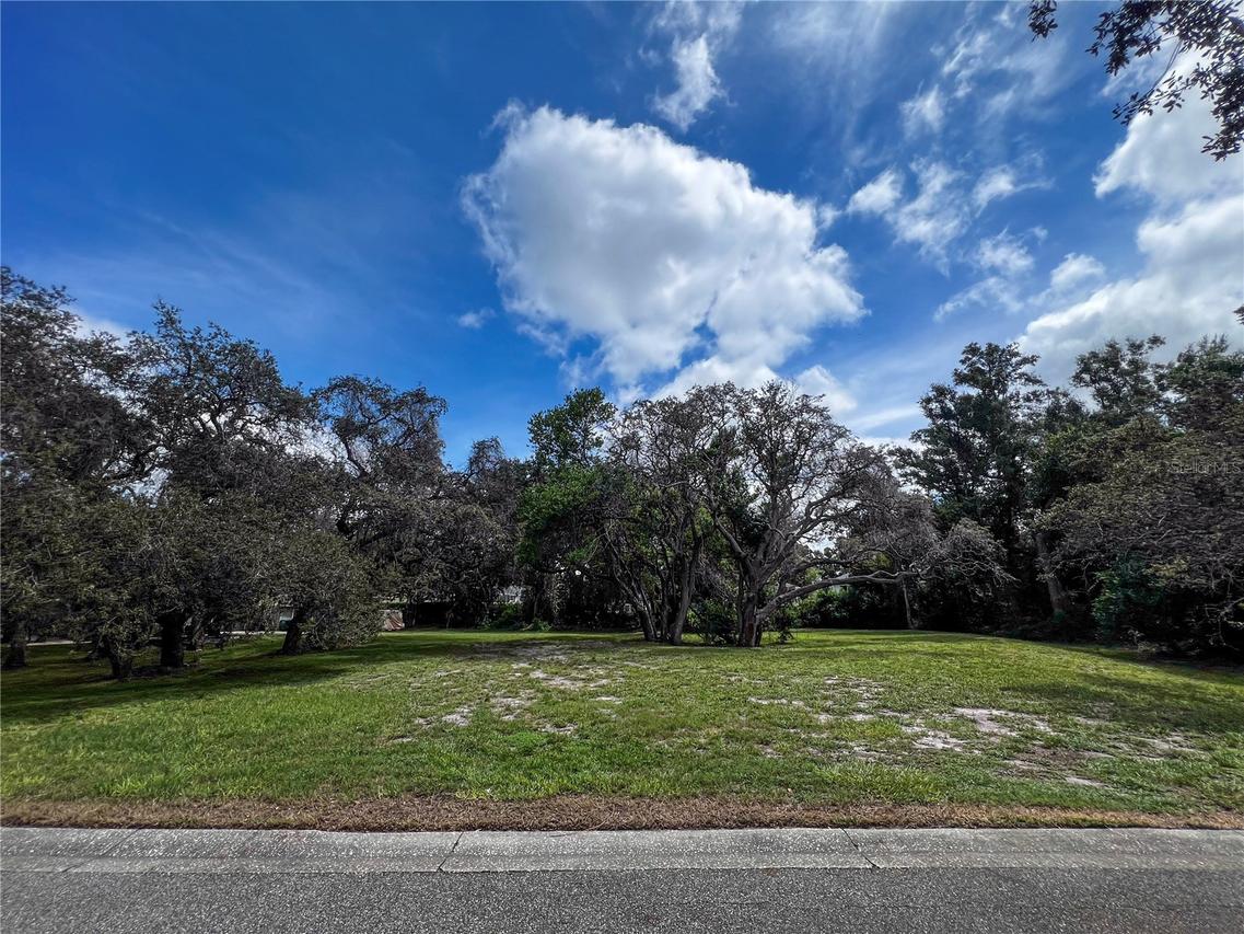 Tampa Rd., Palm Harbor, FL 34684