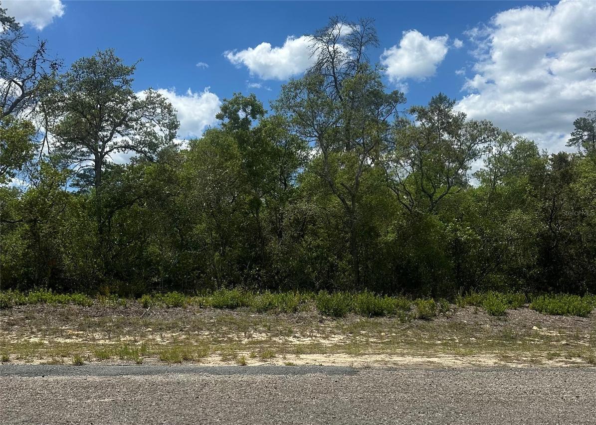 8036 N Wayside Ave., Dunnellon, FL 34433