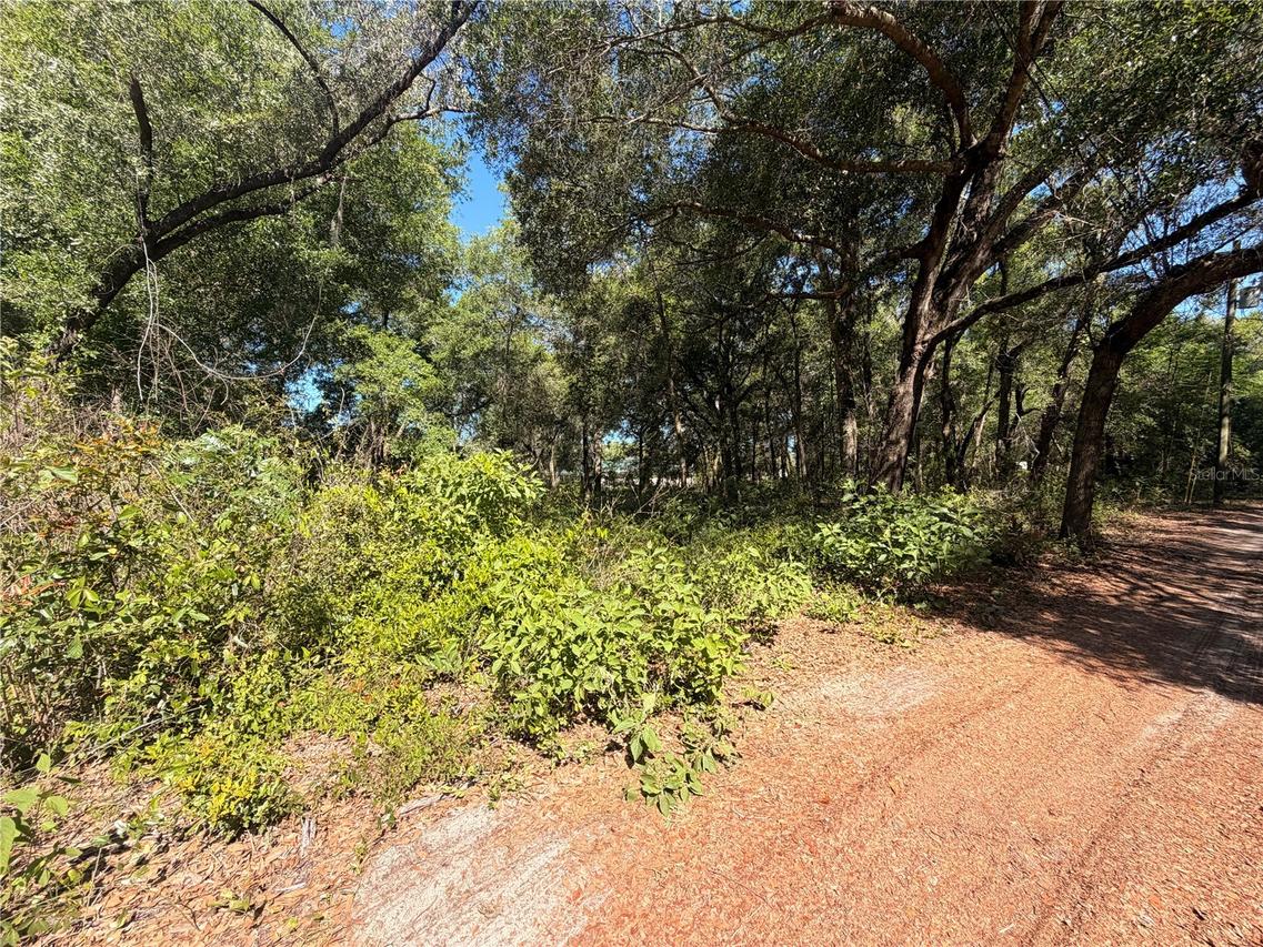 10185 Creekfield Rd., Brooksville, FL 34613