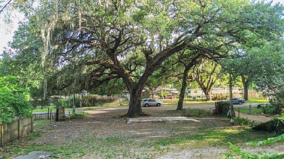 38319 Stebbins Ave., Zephyrhills, FL 33542