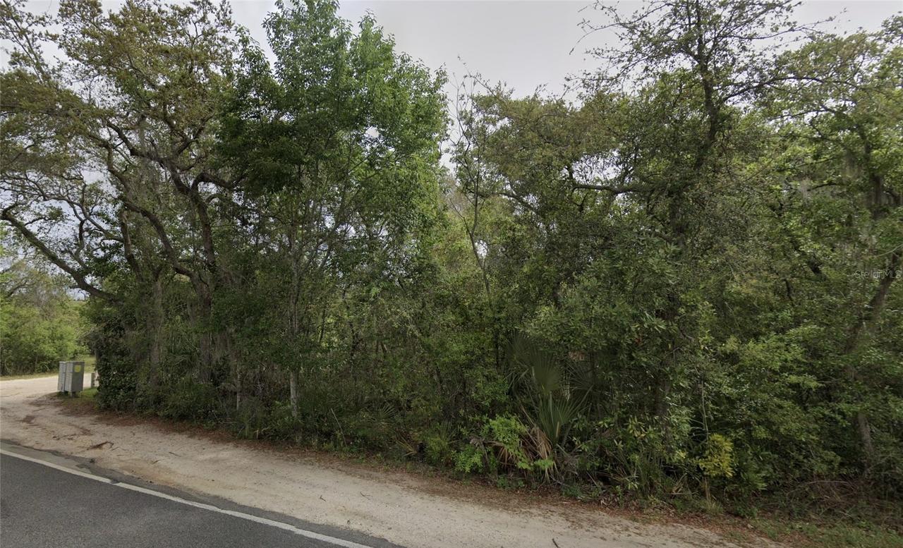 NE 154th Pl., Fort Mc Coy, FL 32134