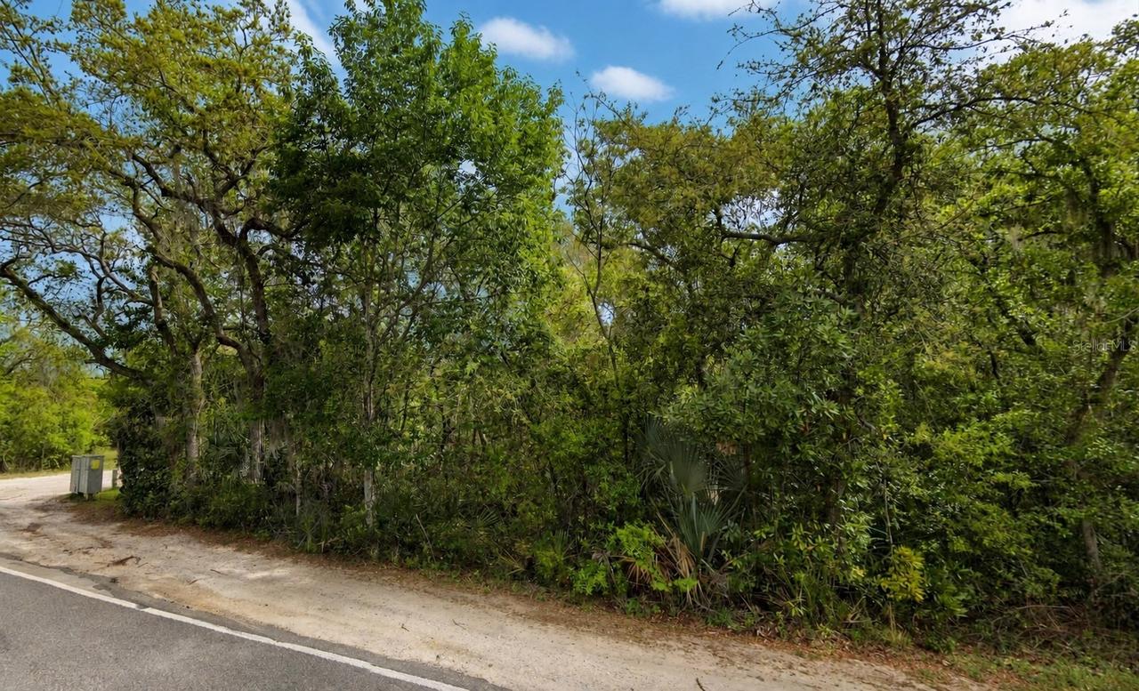 NE 154th Pl., Fort Mc Coy, FL 32134