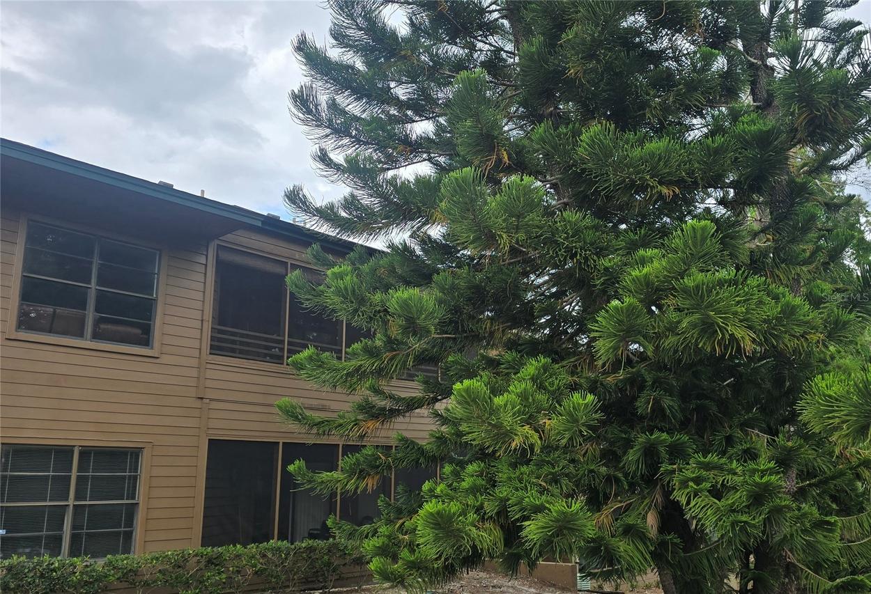 406 Lennox Rd., Palm Harbor, FL 34683