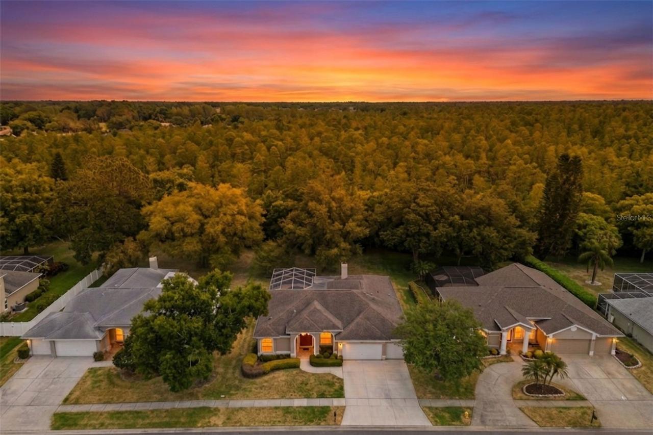 18543 Bittern Ave., Lutz, FL 33558