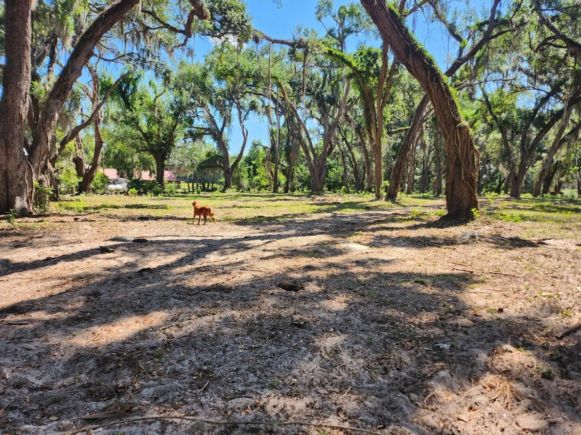Muck Pond Rd., Seffner, FL 33584