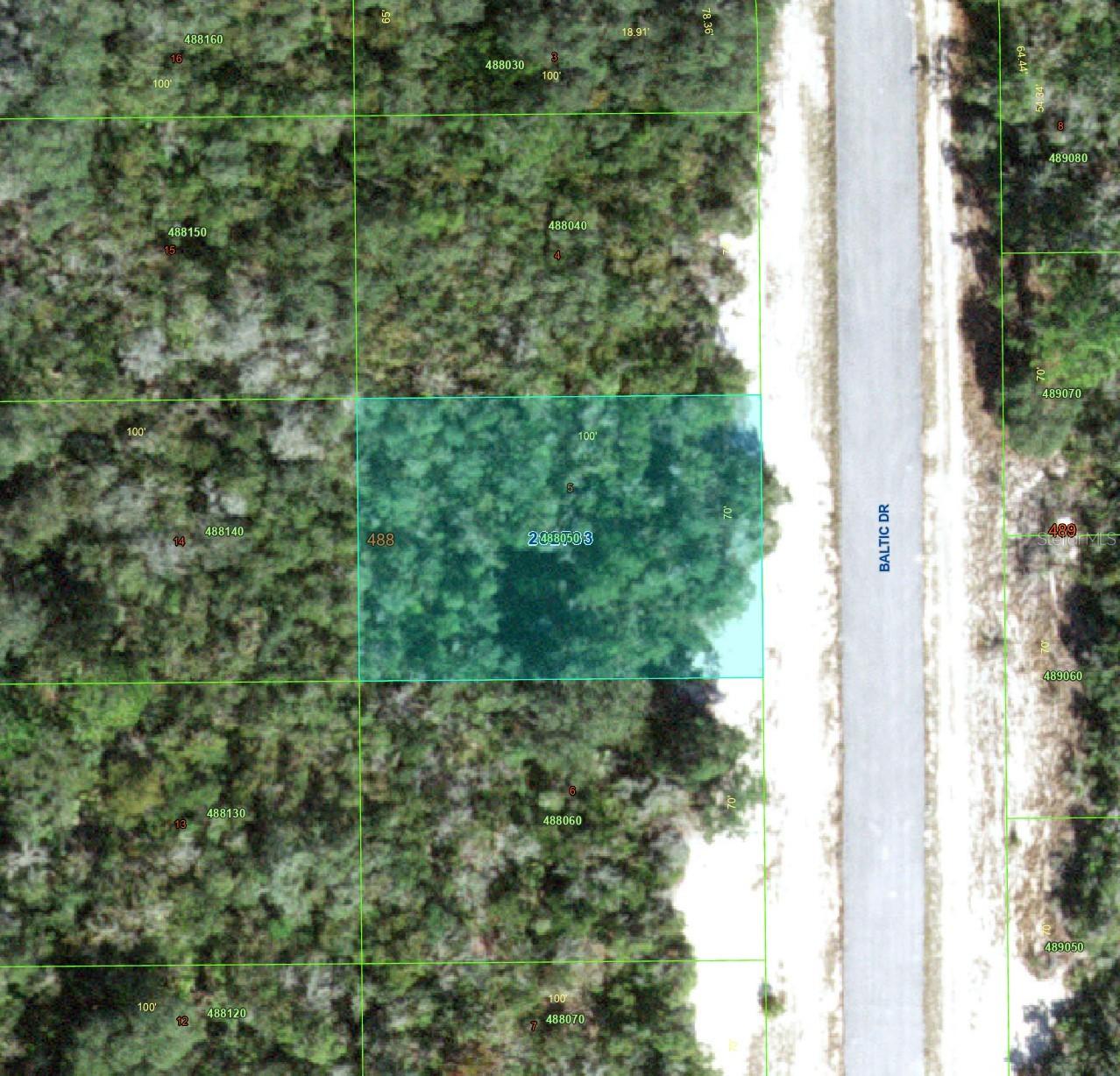 1238 Baltic Dr., Kissimmee, FL 34759