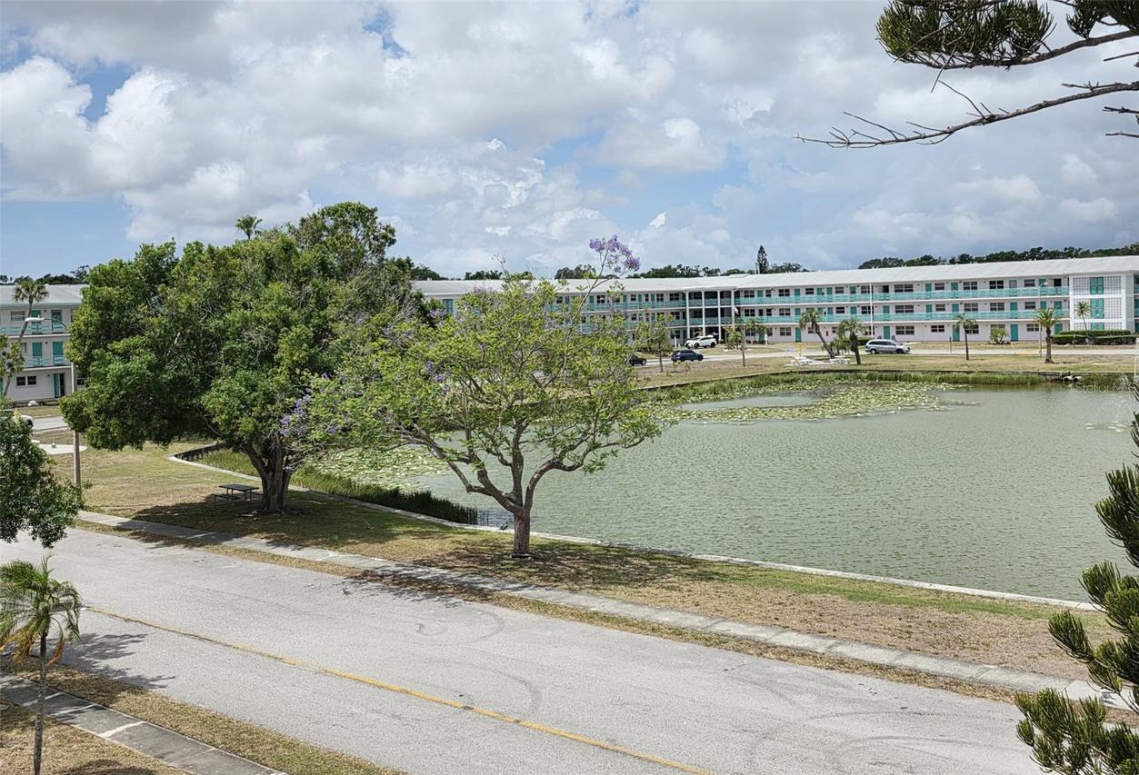 6015 19th St. #314, St Petersburg, FL 33714