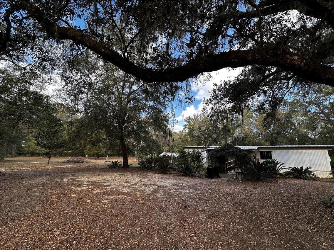 12212 NE 238th Ter., Salt Springs, FL 32134