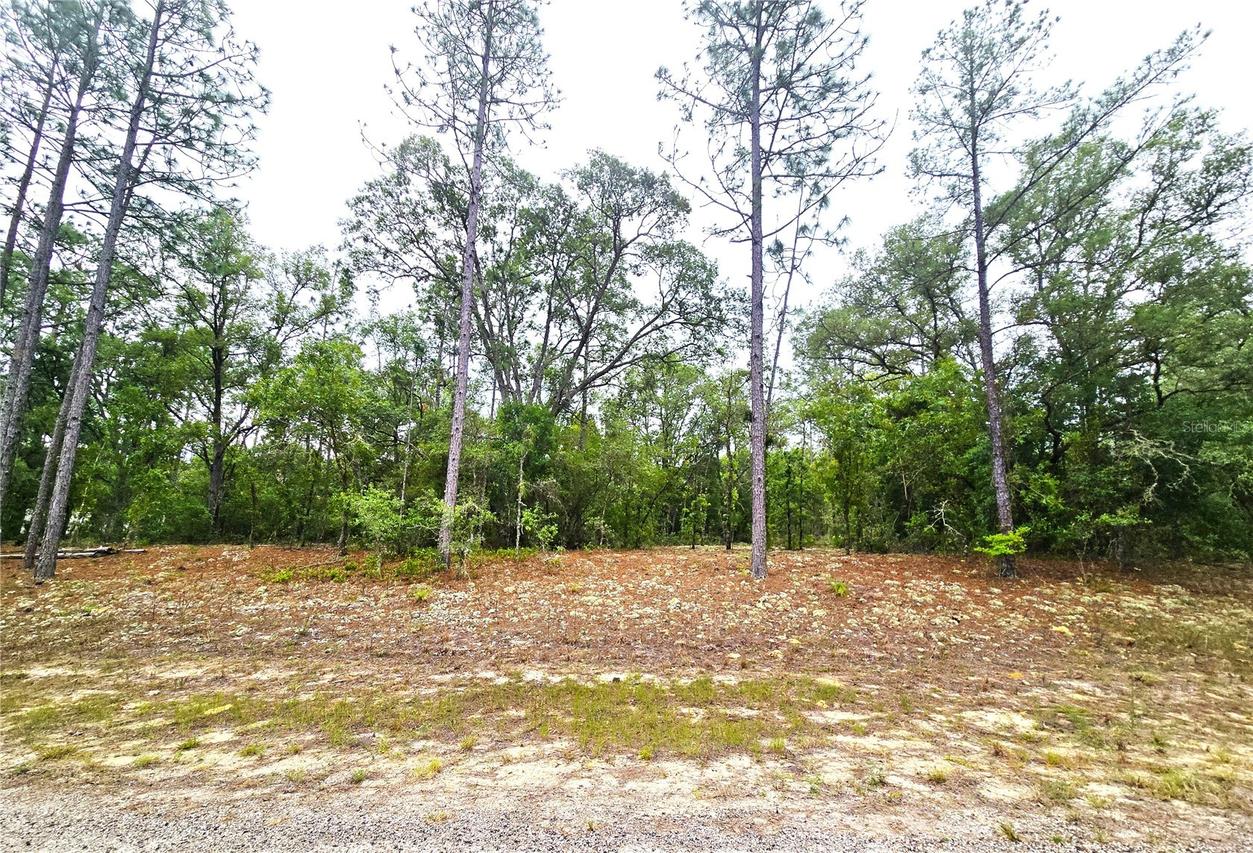 576 E Nemo Dr., Dunnellon, FL 34434