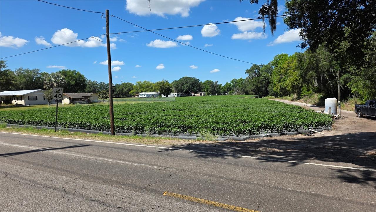Gallagher Rd., Dover, FL 33527