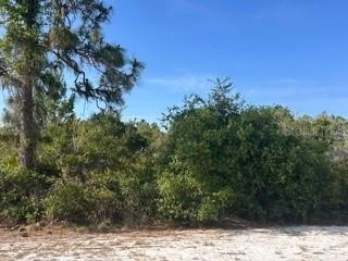 713 (BLK 123 LOTS 15&16) Camellia Dr., Indian Lake Estates, FL 33855