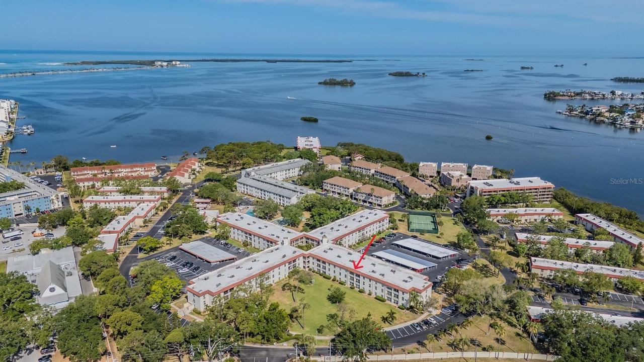 2700 Bayshore Blvd. #3205, Dunedin, FL 34698