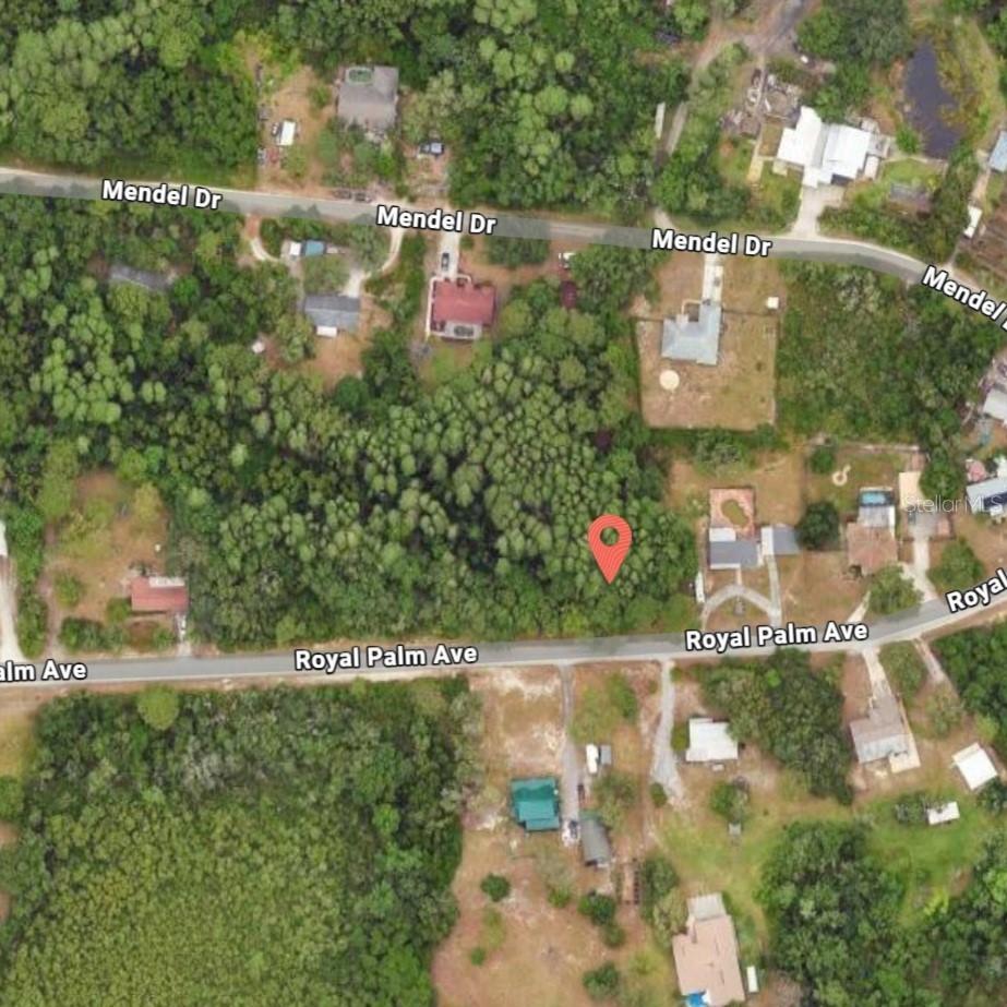 9805 Royal Palm Ave., New Port Richey, FL 34654
