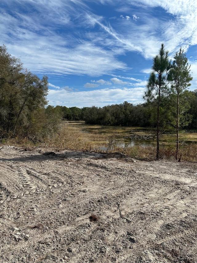 Berryhill Dr., Webster, FL 33597