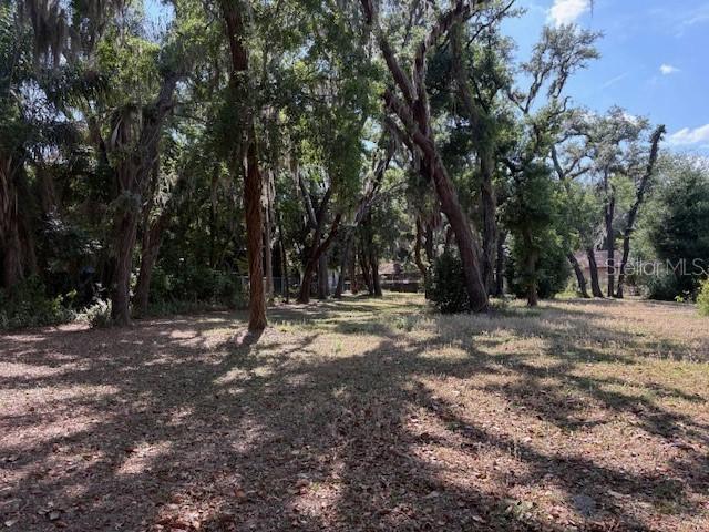 112 N Lockmoor Ave., Temple Terrace, FL 33617