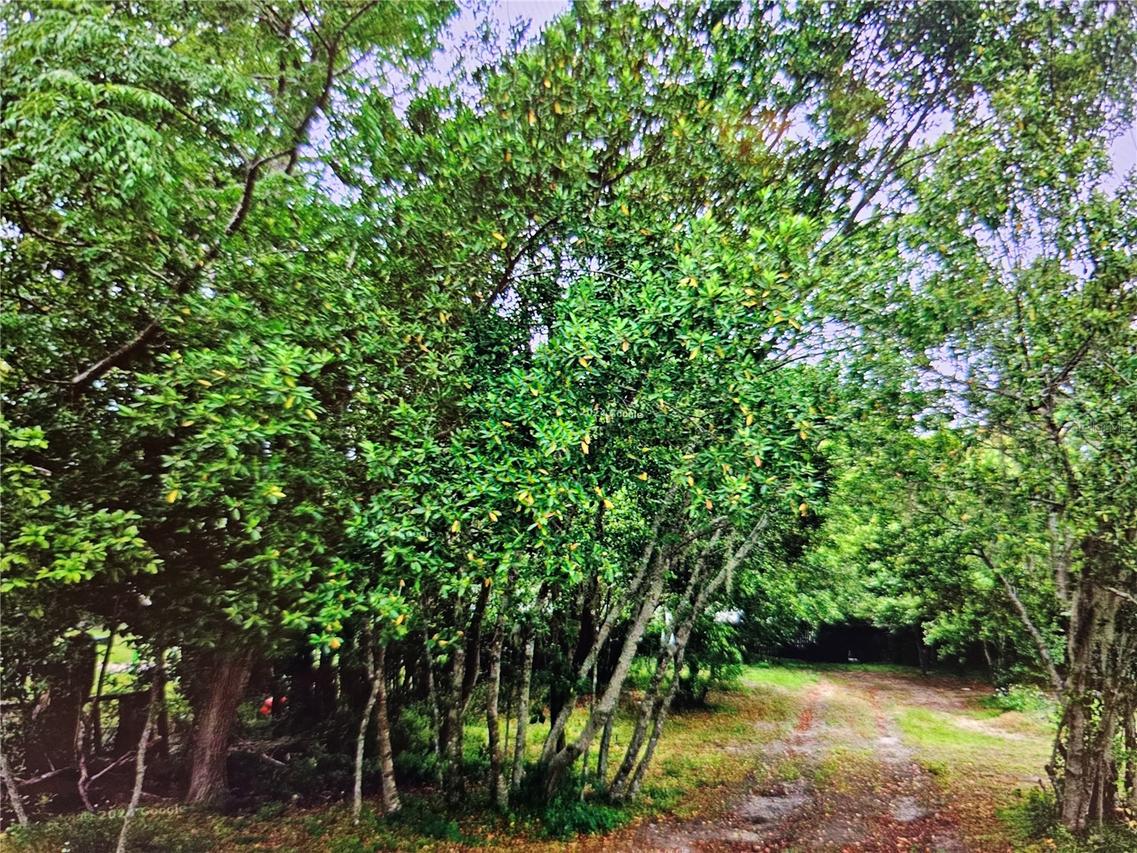 Cardy St., New Port Richey, FL 34654